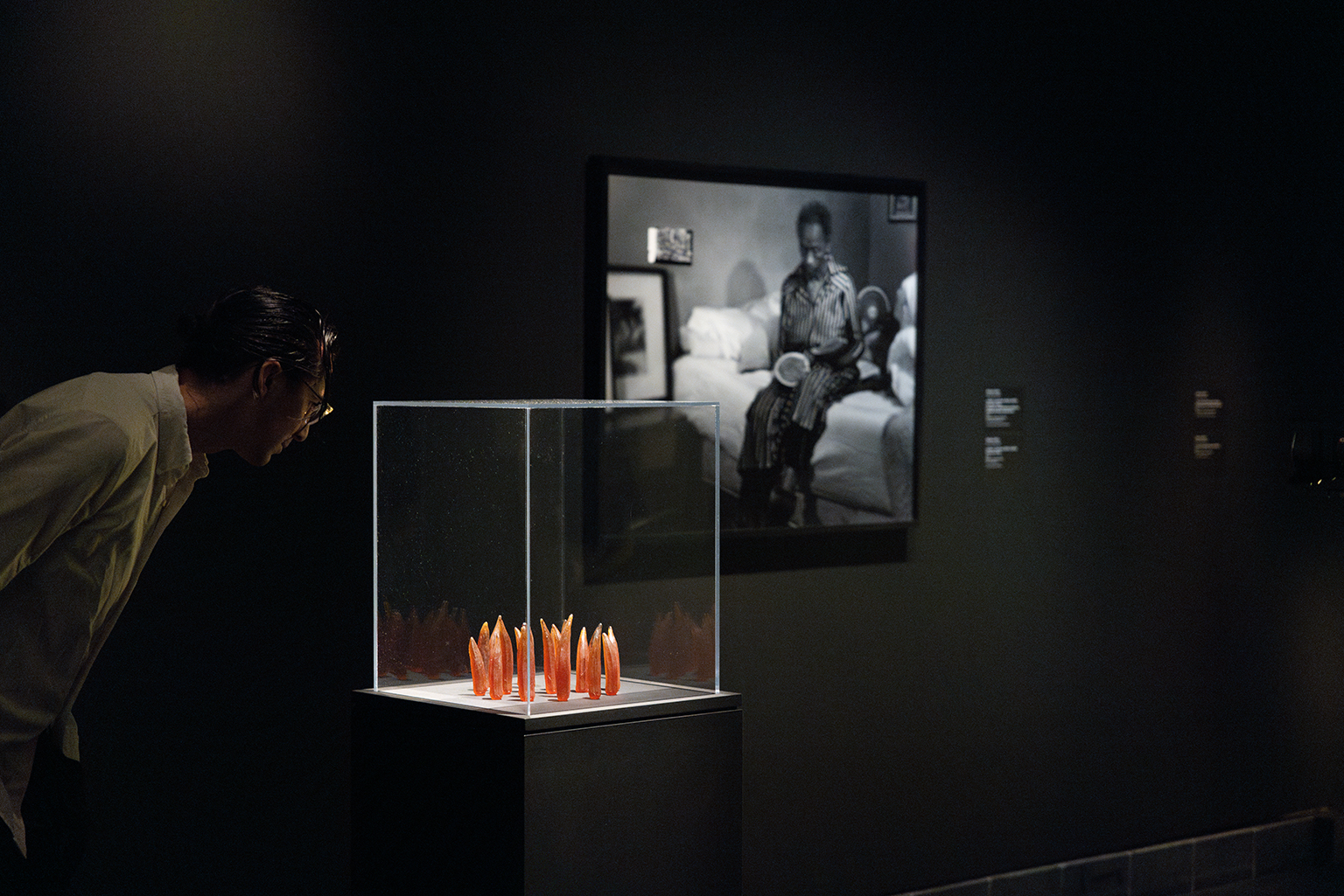 momenta-biennale-anique-jordan-1