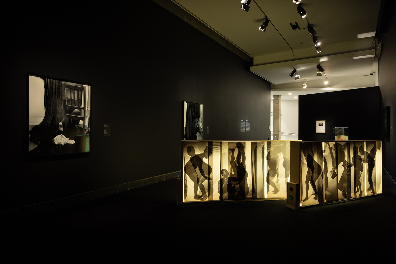 momenta-biennale-anique-jordan-2