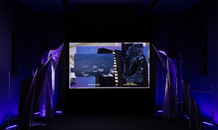 Une communauté de corps accueillant des cellules en migration