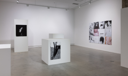 On Lies, Secrets and Silence