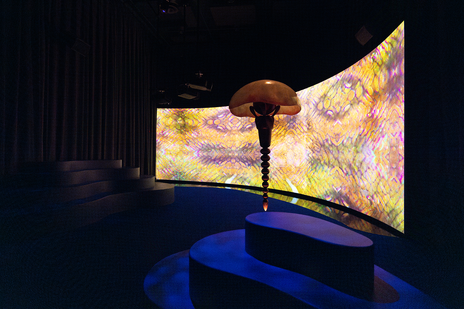 momenta-biennale-josefa-ntjam-2