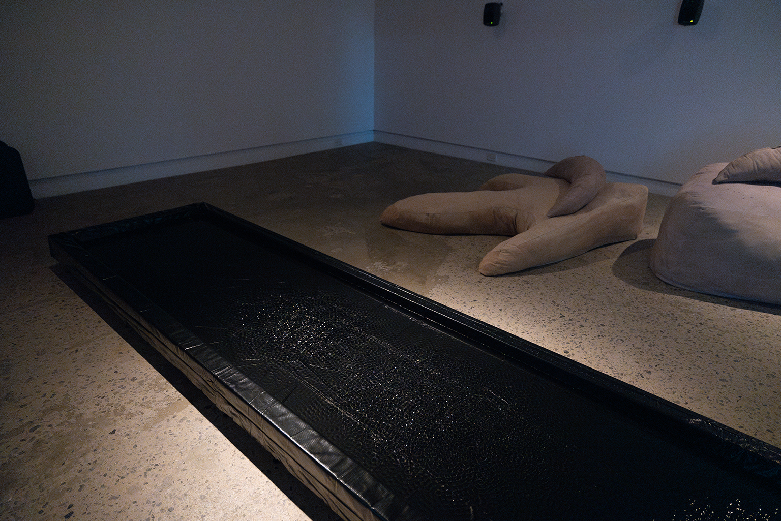 momenta-biennale-lou-sheppard-1