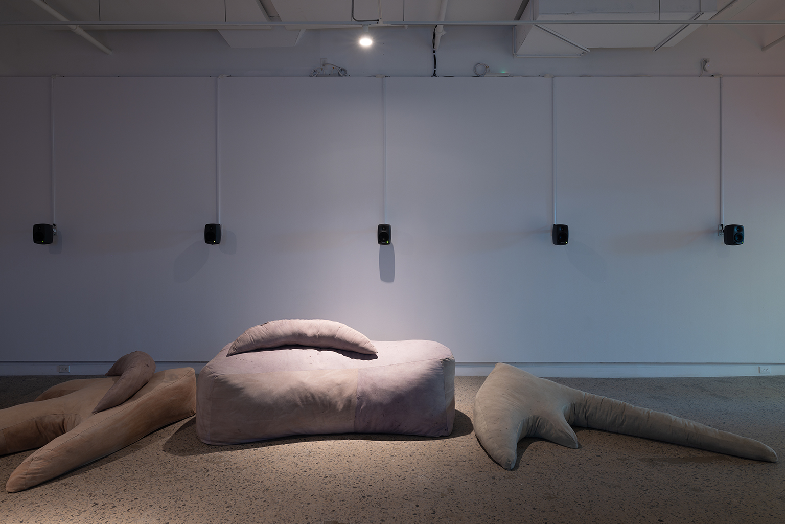 momenta-biennale-lou-sheppard-2