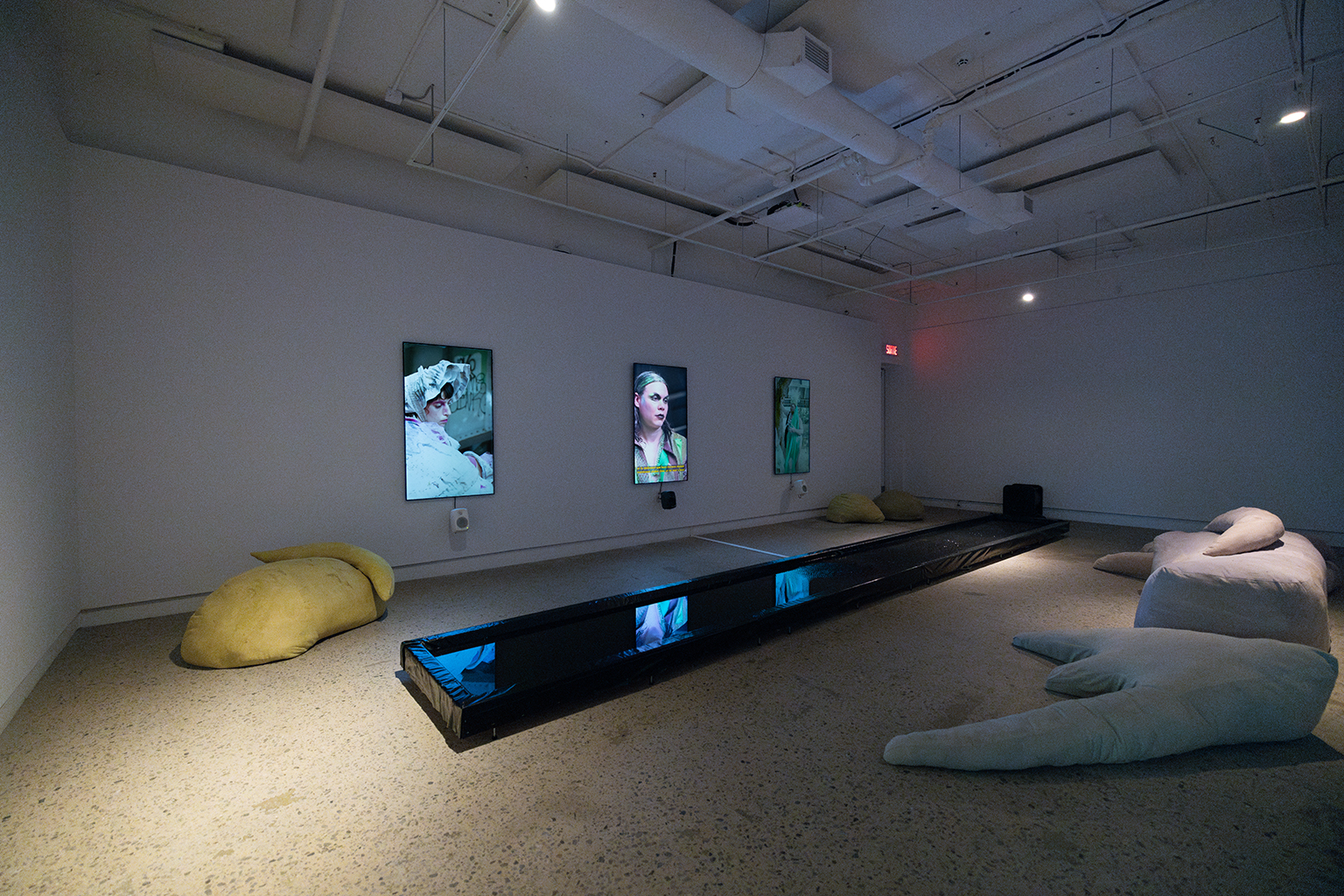 momenta-biennale-lou-sheppard-3