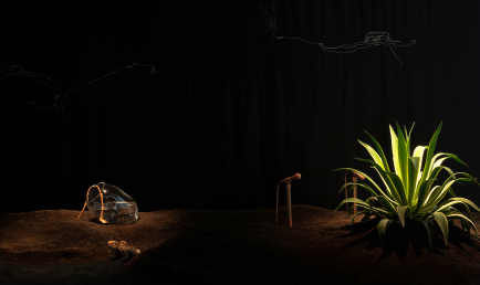 The Fires Rekindled by Your Last Breaths (Movements I and III)