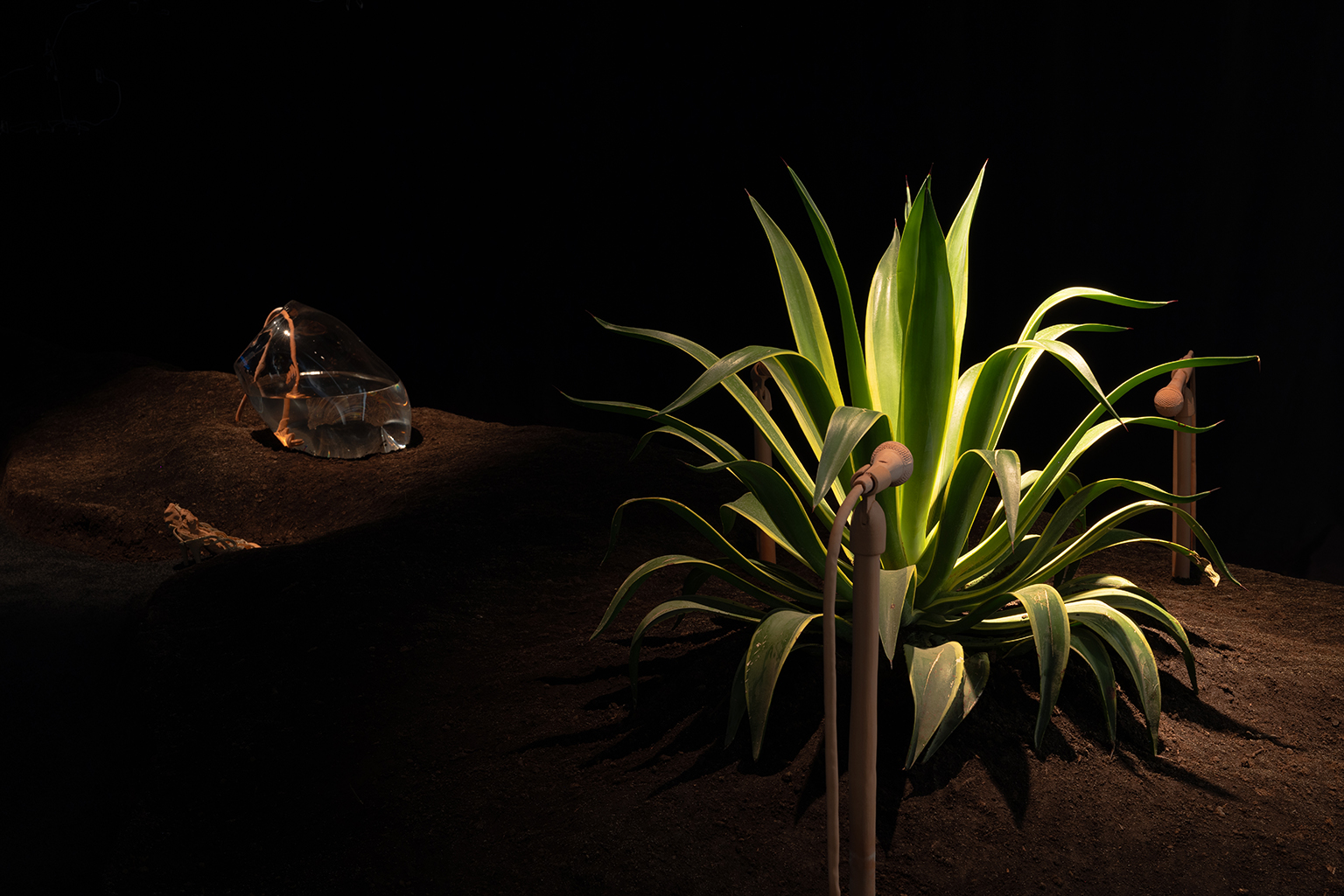 momenta-biennale-myriam-omar-awadi-2