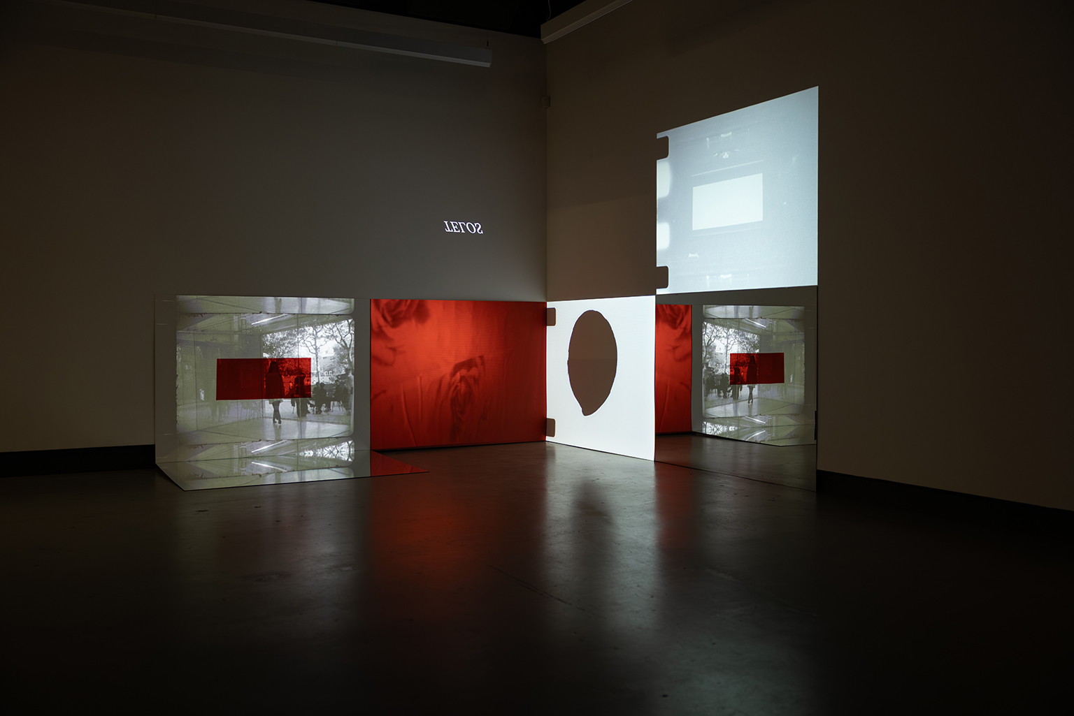 momenta-biennale-na-mira-1