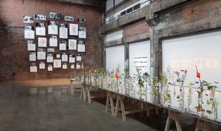 Rosa Luxemburg Resistant Herbarium