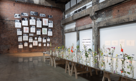 Herbier résistant Rosa Luxembourg