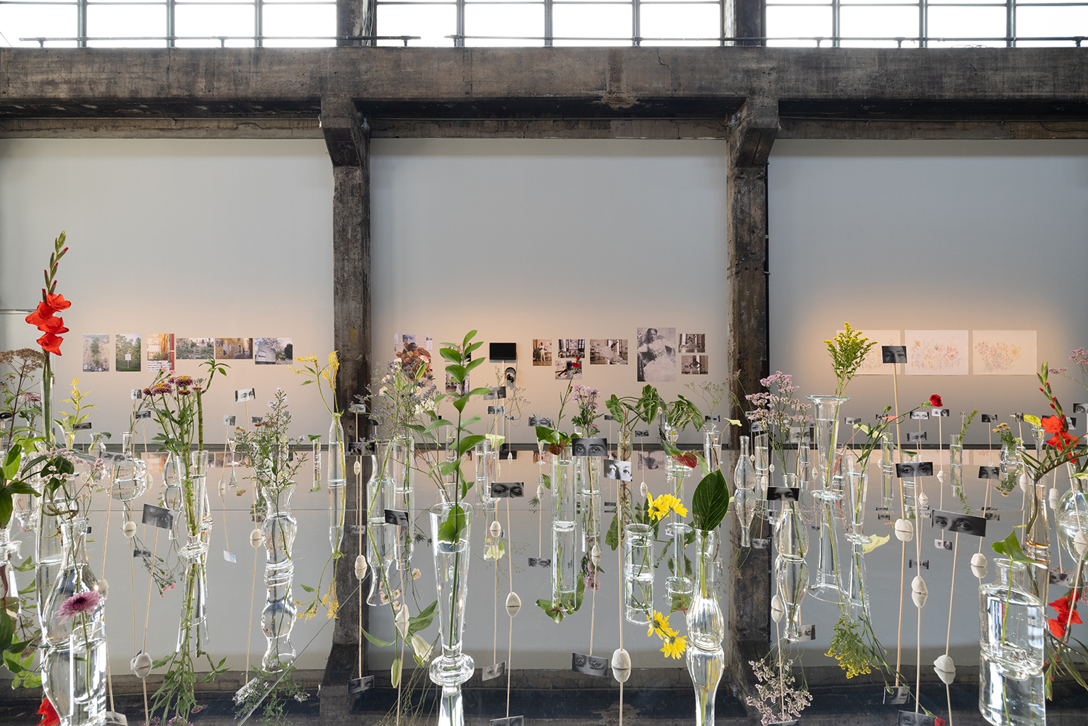 momenta-biennale-paula-valero-comin-3