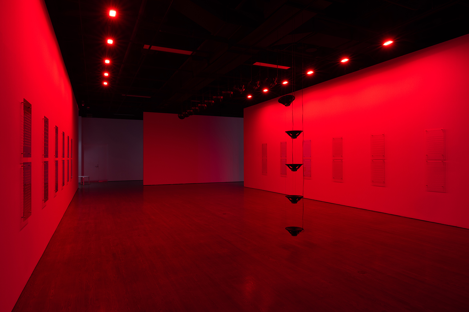 momenta-biennale-raven-chacon-3