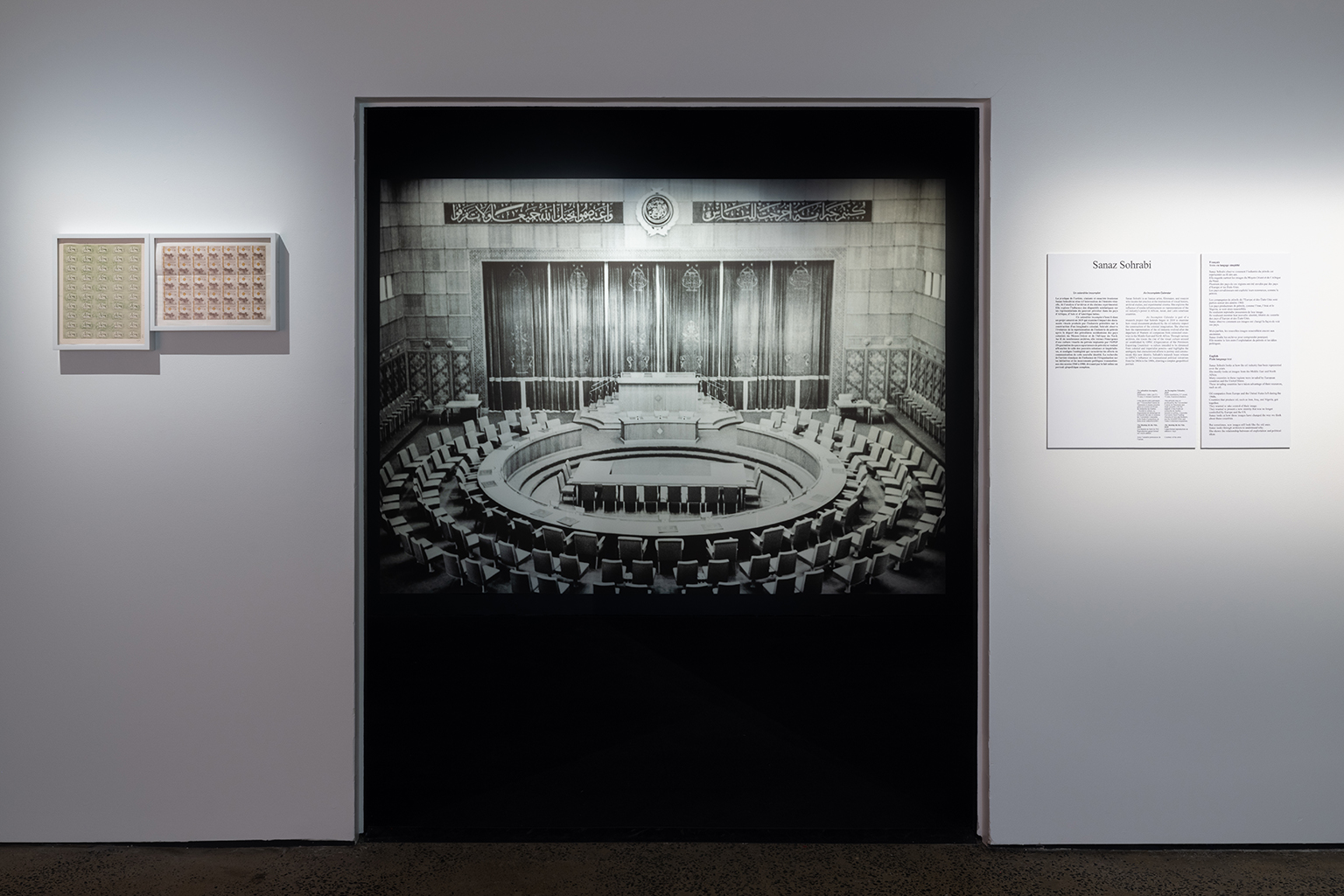 momenta-biennale-sanaz-sohrabi-3