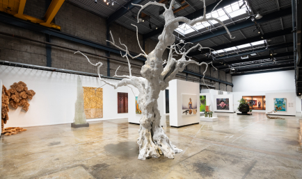 Collection Majudia et ses invité·e·s