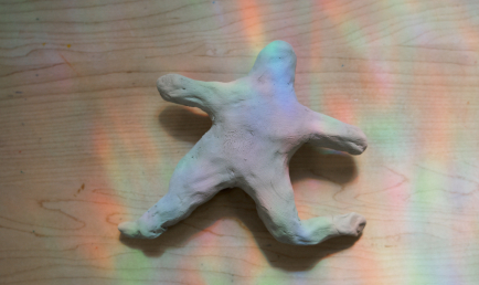 The Black Body in the Domestic Space