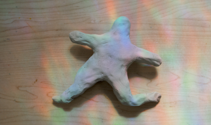 Le corps noir dans l’espace domestique