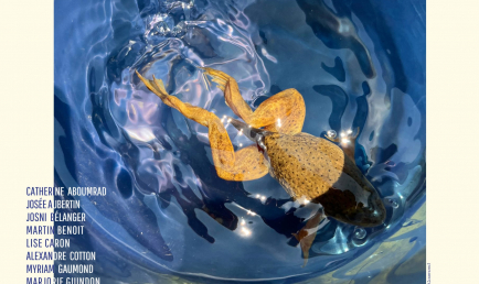 La biennale de photo CVM – édition 2025