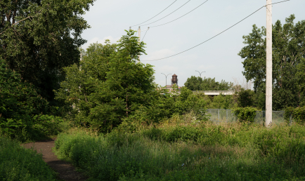 Ka’nikonhri:io: Good Mind, Good Body