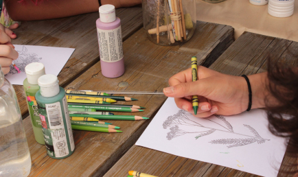Demystifying “Weeds”