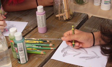 Démystifier les « mauvaises herbes »