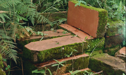 From Earth to Cloth: A Botanical Dyeing Workshop