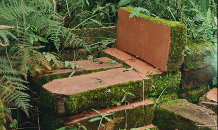 De la terre au tissu : atelier de teinture botanique