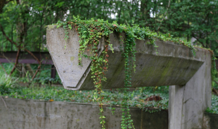 Between City and Nature