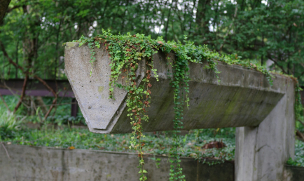 Entre ville et nature