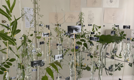 The Secret Stories of “Weeds”