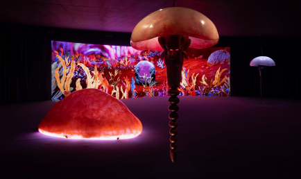 Creative Guided Tour